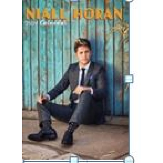 Niall Horan falinaptár 2024 (Egyéb) | Lemezkuckó CD bolt