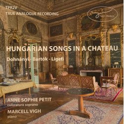 Hungarian songs in a chateau