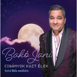 Cigányok közt élek - Csóré Béla emlékére