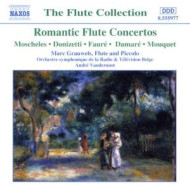 ROMANTIC FLUTE CONCERTOS