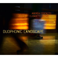 DUOPHONIC LANDSCAPE