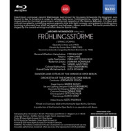 FRULINGSSTURME
