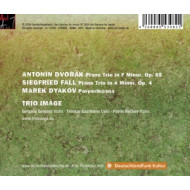 DVORAK, FALL & DYAKOV