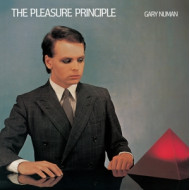 PLEASURE PRINCIPLES