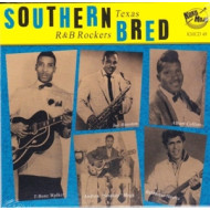 SOUTHERN BRED VOL.10 - TEXAS R'N'B ROCKERS