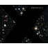 EXOVERSUM