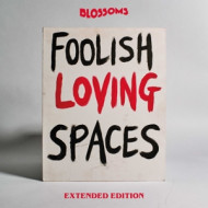 FOOLISH LOVING SPACES