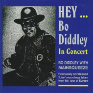 HEY...BO DIDDLEY