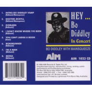 HEY...BO DIDDLEY