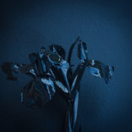 RIFTS