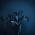 RIFTS