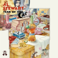 YEAR OF THE CAT