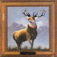 TWELVE POINT BUCK