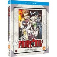 FAIRY TAIL: COLLECTION 10