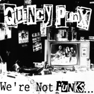 WE'RE NOT PUNKS ... BUT WE PLAY THEM ON TV