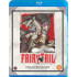 FAIRY TAIL: COLLECTION 11