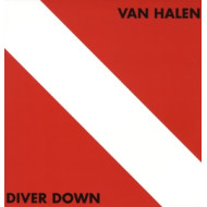 DIVER DOWN