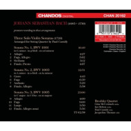 HOMAGE TO BACH
