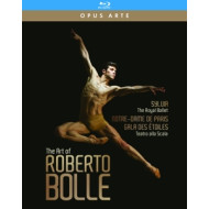 ART OF ROBERTO BOLLE