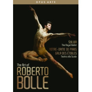 ART OF ROBERTO BOLLE