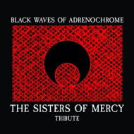 SISTERS OF MERCY TRIBUTE