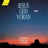 JESUS GEH VORAN!