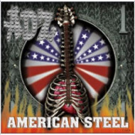 AMERICAN STEEL