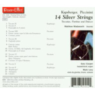 14 SILVER STRINGS