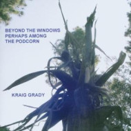 BEYOND THE WINDOWS PERHAP