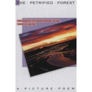 PETRIFIED FOREST