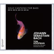 SOLO CANTATAS FOR BASS