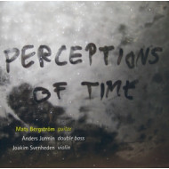 PERCEPTIONS OF TIME