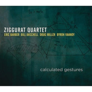 CALCULATED GESTURES