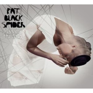 FAT BLACK SPIDER