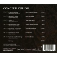 CONCERTI CURIOSI