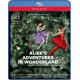 ALICE'S ADVENTURES IN WONDERLAND<br/><h5>Megjelenés: 2011-10-12</h5>