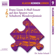 DIE H-MOLL SONATE VOL.9