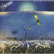 NIGHT BIRDS