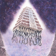 ANCIENT ASTRONAUTS