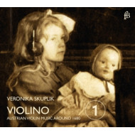 VIOLINO