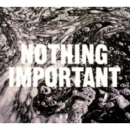 NOTHING IMPORTANT