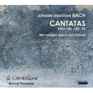 CANTATAS VOL.4