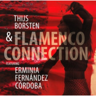 FLAMENCO CONNECTION