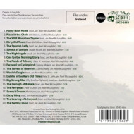 20 BEST IRISH SONGS