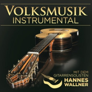 VOLKSMUSIK INSTRUMENTAL