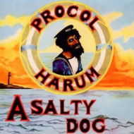 A SALTY DOG