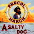 A SALTY DOG