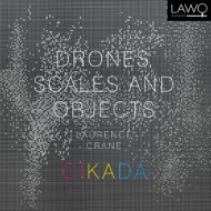 DRONES, SCALES & OBJECTS