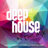 DEEP HOUSE IN THE MIX