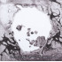 A MOON SHAPED POOL